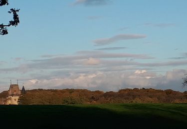 Tocht Stappen Durbuy - Petite-Somme Durbuy Château de Radhadesh - Photo