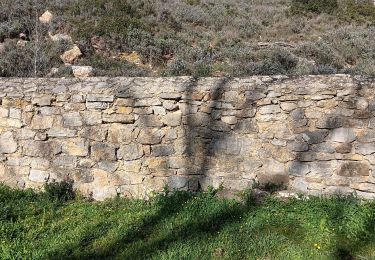 Trail Walking Narbonne - massif et abbaye de Fontfroide - Photo