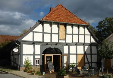 Tocht Te voet Stemwede - Leverner Südhang - Photo