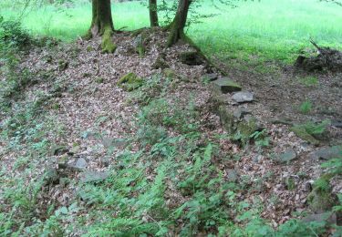 Randonnée A pied Neunkirchen-Seelscheid - Rundweg A5 (Seelscheid) - Photo