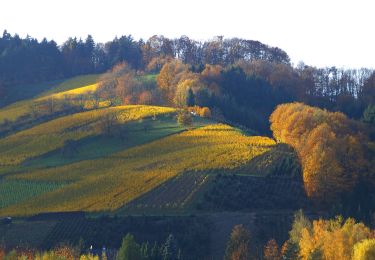 Excursión A pie Lautenbach - Lautenbacher Hexensteig - Photo