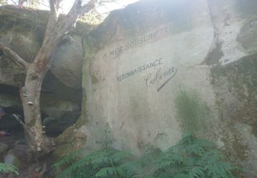 Tocht Stappen Fontainebleau - Belle-croix 19 juillet 2022  - Photo