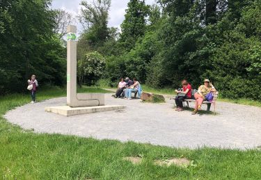 Tour Zu Fuß Unbekannt - Rundwanderweg Schellenberger Wald - Photo