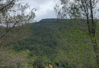 Tour Wandern Fontiès-d'Aude - Fontiers d’Aude  - Photo