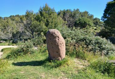 Trail Walking Saint-Raphaël - St Raphaël Jardins de Diane, Pastourelle - Photo