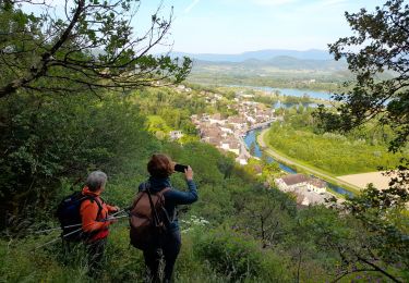 Trail Walking Chanaz - SAVOIE: CHANAZ - SAINT PIERRE DE CURTILLE - JONGIEUX - Photo