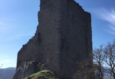 Tour Wandern Scherweiler - Huhnemuhle - Photo