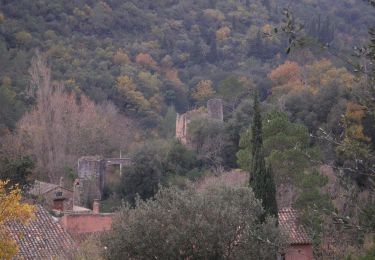 Tour Zu Fuß Alcover - Camí natural Ruta del Glorieta. Variant cèquia del Mas de Forés - Photo