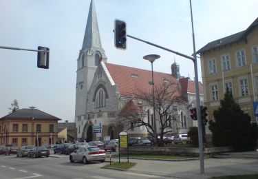 Trail On foot Gemeinde Breitenfurt bei Wien - Pressbaum - Drei Berge - Hochroterd - Photo