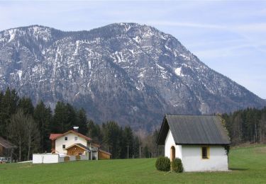 Excursión A pie Gemeinde Schwoich - VBA-Runde - Photo