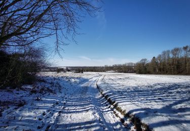 Tocht Stappen Gerpinnes - Balade à Gerpinnes - Photo