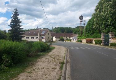 Trail Road bike Paron - 196 SE100 Dixmont # Vaudeurs-01 - Photo