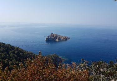 Randonnée Marche Hyères - Port Cros est - Photo