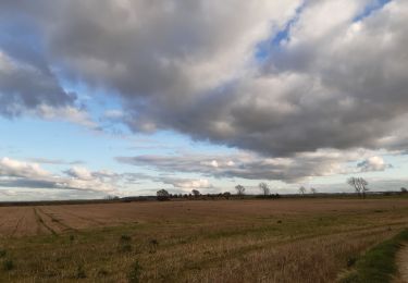 Tocht Stappen Cayeux-sur-Mer - lac de caouaisse . brighton . pointe de hourdel . lac de caouzisse   - Photo