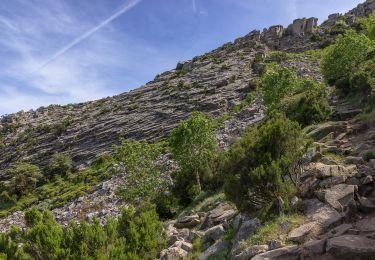 Tocht Te voet Marciana - GTE Tappa 3 - Photo