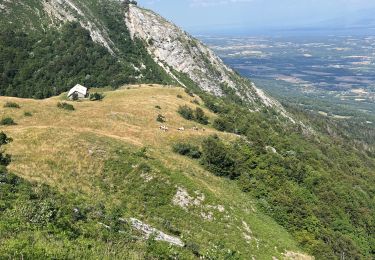Tour Wandern Farges - Génial - Photo