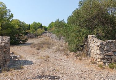 Trail Walking Leucate - mon sentier des pêcheurs via chateau - Photo