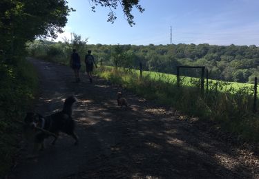Trail Walking Ferrières - Adeps Ferrières 2019 - Photo