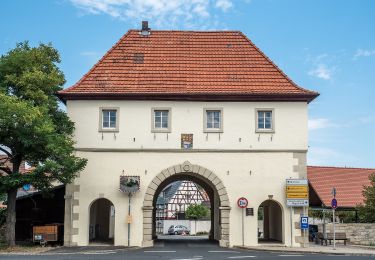 Excursión A pie Hofheim in Unterfranken - Rundwanderweg Elster Hofheim - Photo