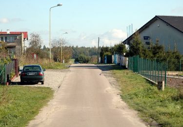 Excursión A pie Golczewo - Szlak Doliną Niemicy - Photo