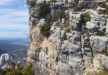 Tour Wandern Beynes - 2023-03-17 Montagne de Beyne - Photo