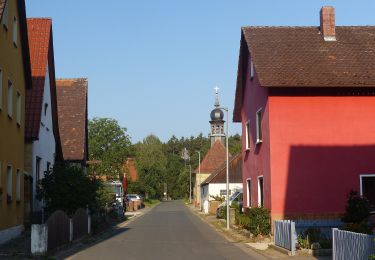 Trail On foot Forchheim - Forchheim-Reifenberg - Photo