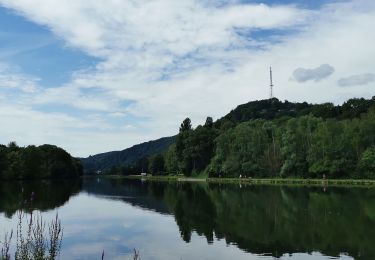 Tocht Mountainbike Yvoir - GODINNE ... la vallée du Burnot. - Photo