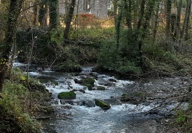 Trail Walking Marchin - vyleTharoul à pied - Photo