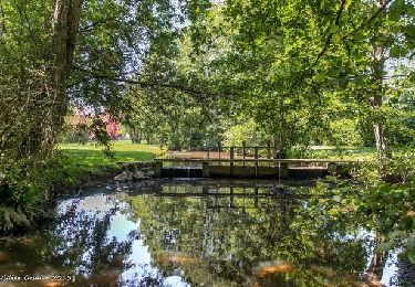 Tour Wandern Longny les Villages - [Itinéraire] La Mariette - Photo