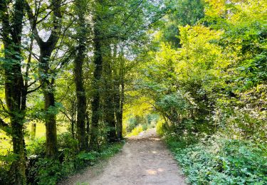 Trail Walking Marche-en-Famenne - La réserve naturelle du Fond des Vaux à Marche-en-Famenne - Photo