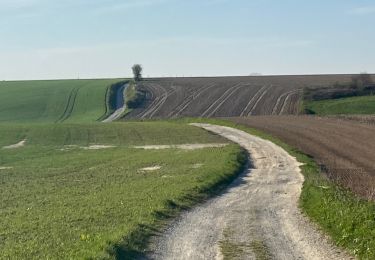 Percorso Bici ibrida Gerpinnes - Biesme à vélo  - Photo