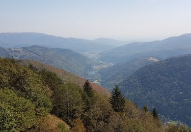 Trail Paragliding Lepuix - Vol rando parapente - Ballon d'Alsace - Sewen - Photo