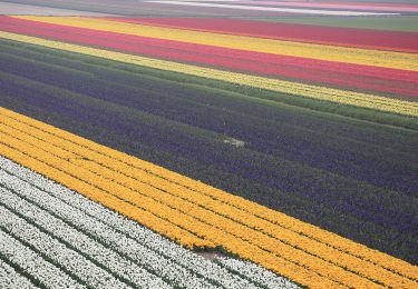 Excursión A pie Schagen - Sint Maartenszee paars 5,5 km - Photo