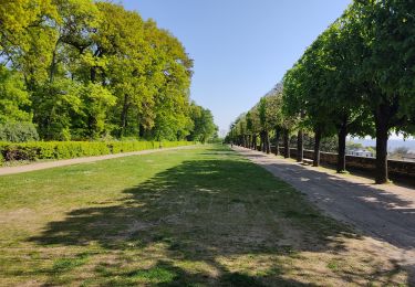 Percorso Marcia Fontenay-aux-Roses - la terrasse de Robinson - Photo