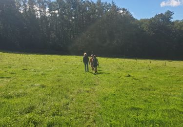 Percorso Camminata nordica Dalhem - dahlem - Photo