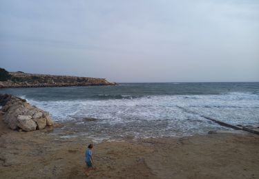 Tocht Stappen Martigues - Cap couronne  - Photo