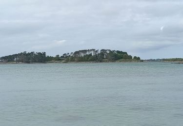 Excursión Senderismo Trébeurden - boucle Île Grande  - Photo