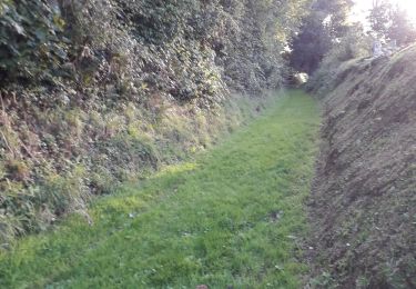 Tour Wandern Canville-les-Deux-Églises - Canvillesles-deux-Eglises - Photo
