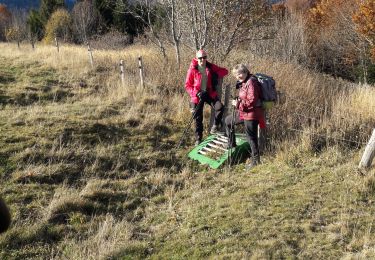 Trail Walking Lalley - le Rognon depuis le col de Lus - Photo