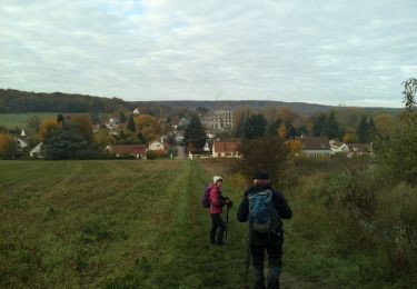 Tocht Stappen Boissy-sous-Saint-Yon - Boissy sous St Yon - Photo