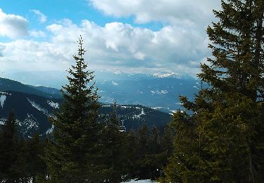 Randonnée A pied Gemeinde Spital am Semmering - Wanderweg 7 - Photo