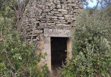 Trail Walking Vers-Pont-du-Gard - 2024-03-11 - Photo