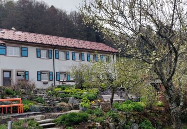 Percorso Marcia Oberbruck - 2022-04-23 Marche Oberbruck Lac Alfeld Auberge Gresson - Photo