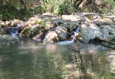 Excursión Senderismo Méounes-lès-Montrieux - Le Gapeau vers l'étang 2 - Photo