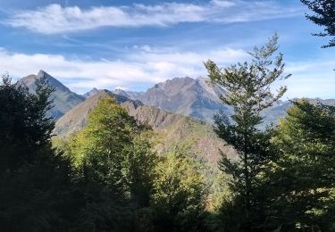 Tocht Stappen Arras-en-Lavedan - Sur la hauteur de Sireix - Photo