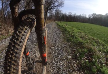 Tocht Mountainbike Florennes - Florennes_20220213_082911 - Photo