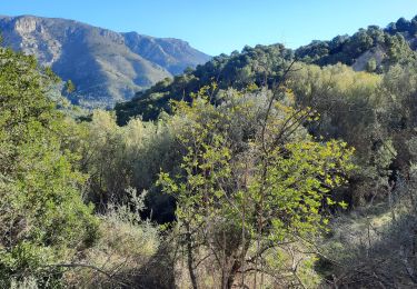 Excursión Senderismo Guadalest - vivvod - Photo