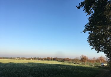 Randonnée A pied Hohendubrau - Wysoka Dubrawa - Gelber Balken Jerchwitz Jänkendorf - Photo