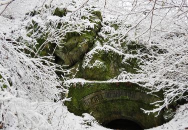 Trail On foot Freisen - Weiselberg-Gipfeltour - Photo