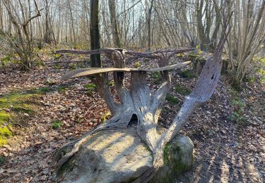 Tocht Stappen Anthisnes - Anthines - AS03 - Boucle de Tolumont - Losange Bleu - Photo